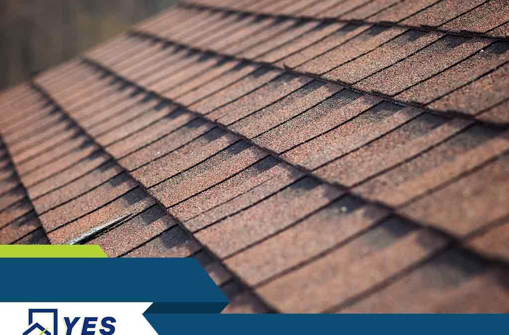 Maintenance Tips to Extend Your Roofing System’s Life Span