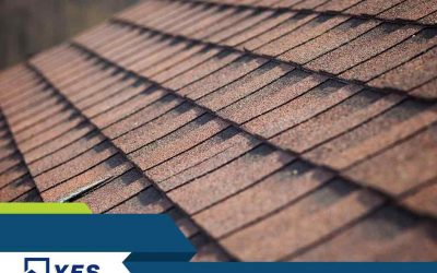 Maintenance Tips to Extend Your Roofing System’s Life Span