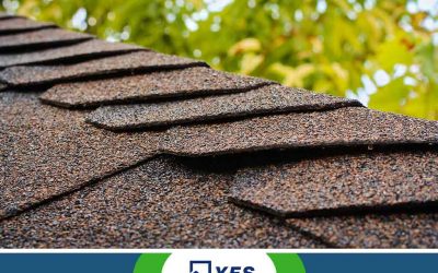 Everything You Need to Learn About Wind Damage
