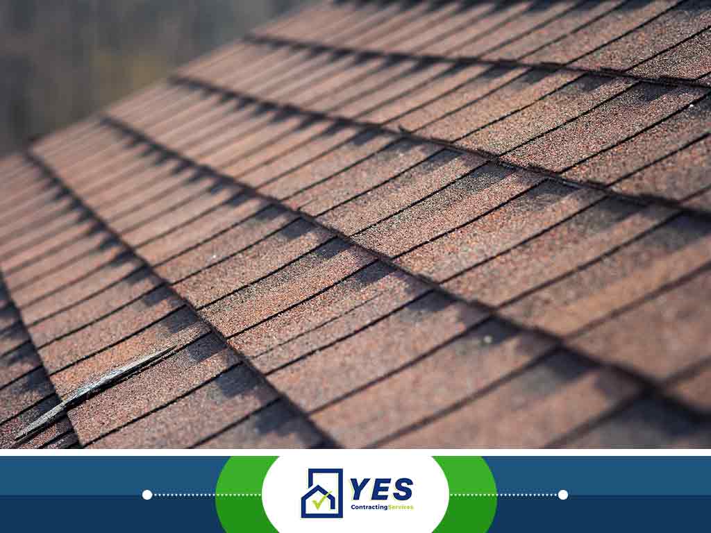 20. A Look at Environmental Asphalt Shingle Damage