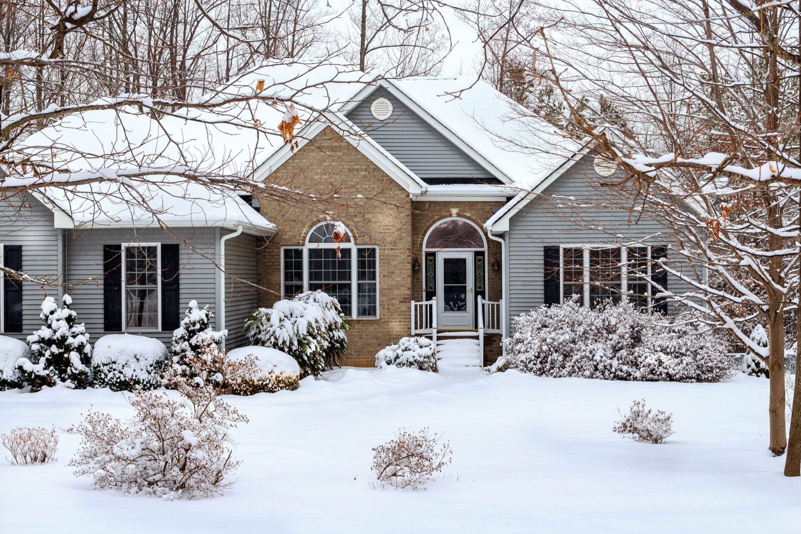 IMG_2485 snowy home